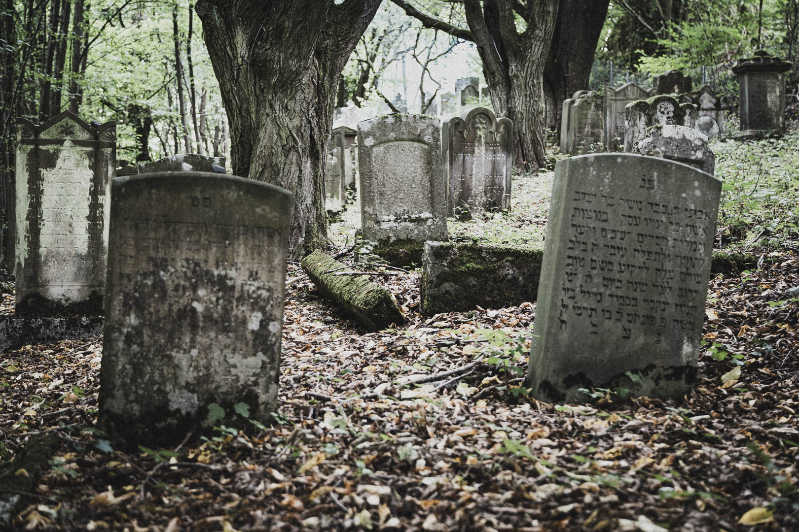 Nentershausen (Hessen), Jüdischer Friedhof